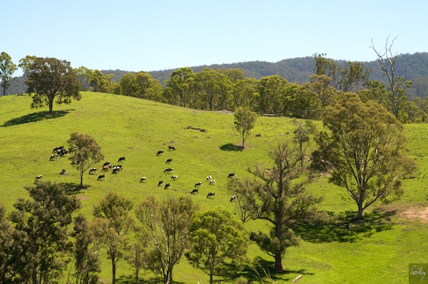 AustraliaEast 10  111